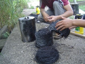 Biochar 1