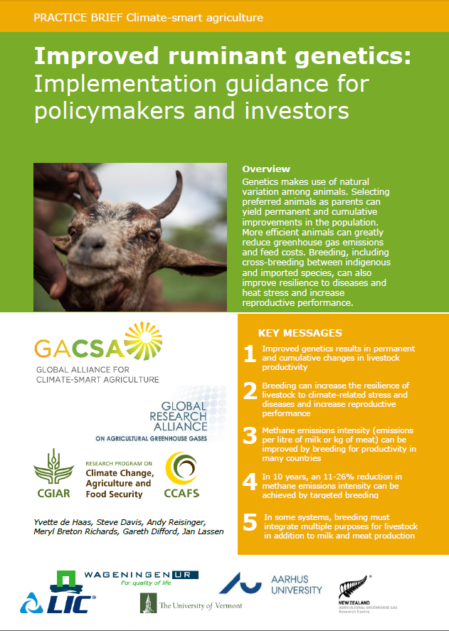 Improved ruminant genetics: Implementation guidance for policymakers and  investors